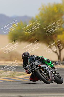 media/Apr-12-2025-Race Pace (Sat) [[9230add55f]]/Vested/6-Turn 4 Tree of Life (115pm)/